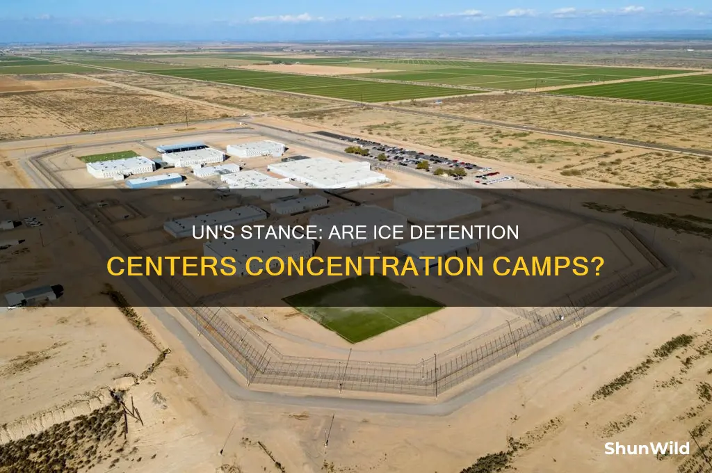 did united nations call ice detention center concentration camps