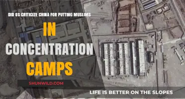 US Criticism of China's Muslim Concentration Camps: Fact or Fiction?