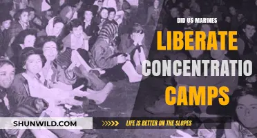 US Marines' Role in Liberating Nazi Concentration Camps: Facts Revealed
