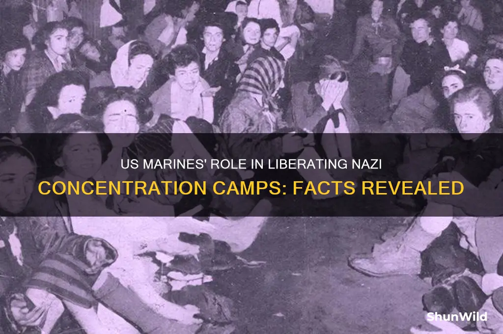 did us marines liberate concentration camps