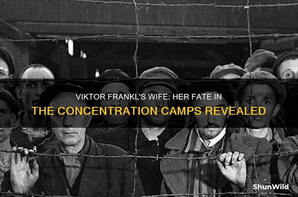 did viktor frankl