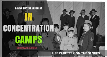 The Dark History of Japanese American Incarceration: A National Shame