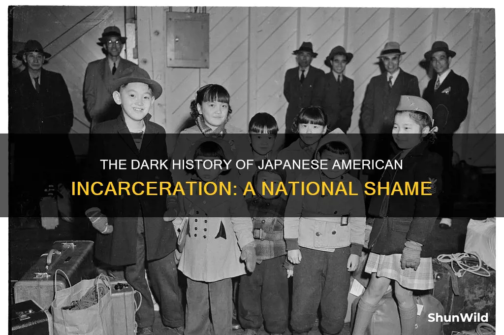 did we put the japanese in concentration camps