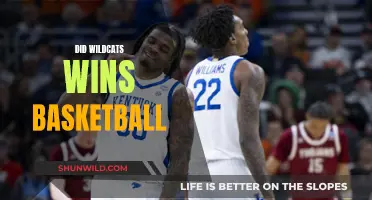 Wildcats' Basketball Triumph: A Winning Streak