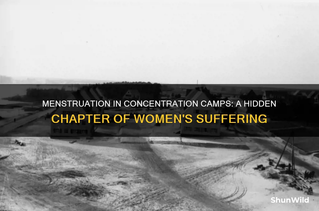 did women menstruate in concentration camps