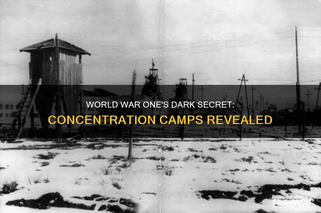 did world war one have concentration camps