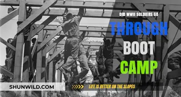 WWII Soldiers' Boot Camp: Training Realities and Military Preparation