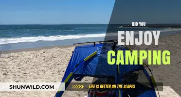 Camping Bliss or Bust: Sharing My Outdoor Adventure Experience