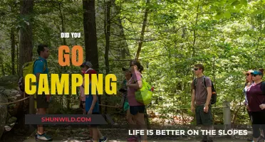 Did You Go Camping? Sharing Unforgettable Outdoor Adventures and Tips