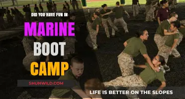 Marine Boot Camp: A Journey of Fun, Challenge, and Transformation