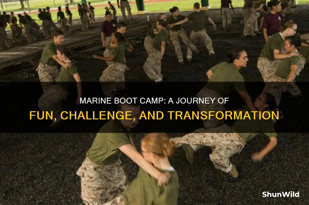 did you have fun in marine boot camp