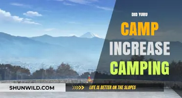 Yuru Camp's Impact: Boosting Camping Popularity in Japan and Beyond