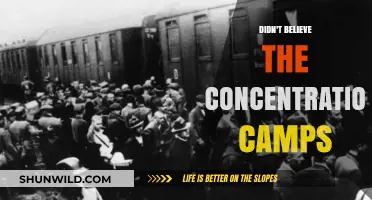 Unveiling the Truth: Confronting Denial of Concentration Camps