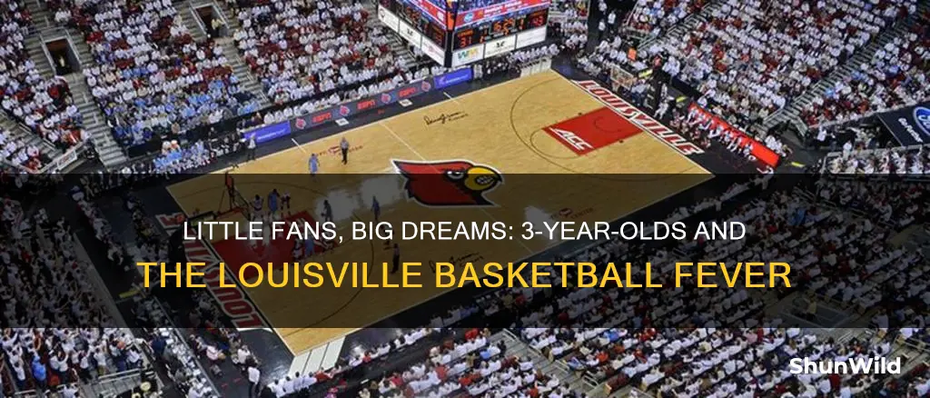 do 3 year old mees ticket louisville basketball