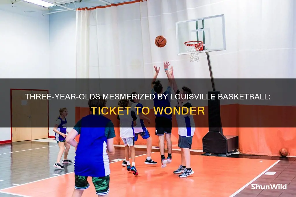 do 3 year old mees ticket louisville basketball