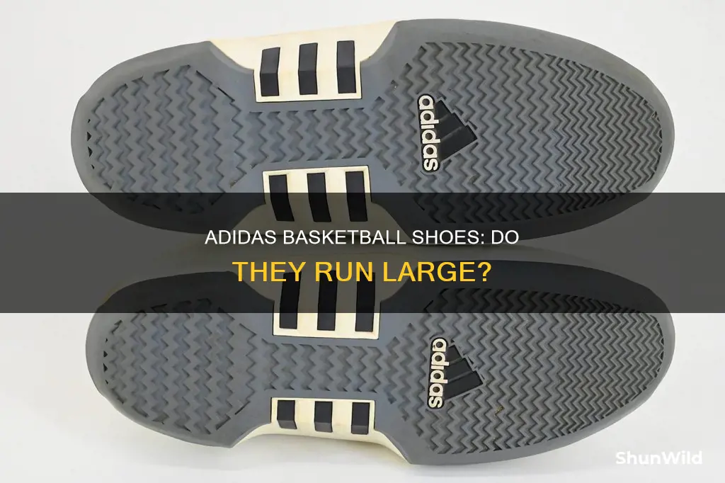 do adidas basketball shoes run big