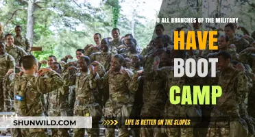 Do All Military Branches Have Boot Camp? Exploring Training Differences