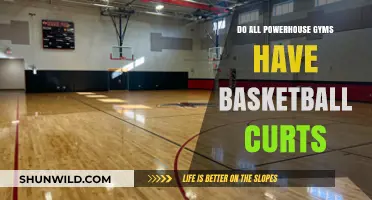 Powerhouse Gyms: Basketball Courts for All?