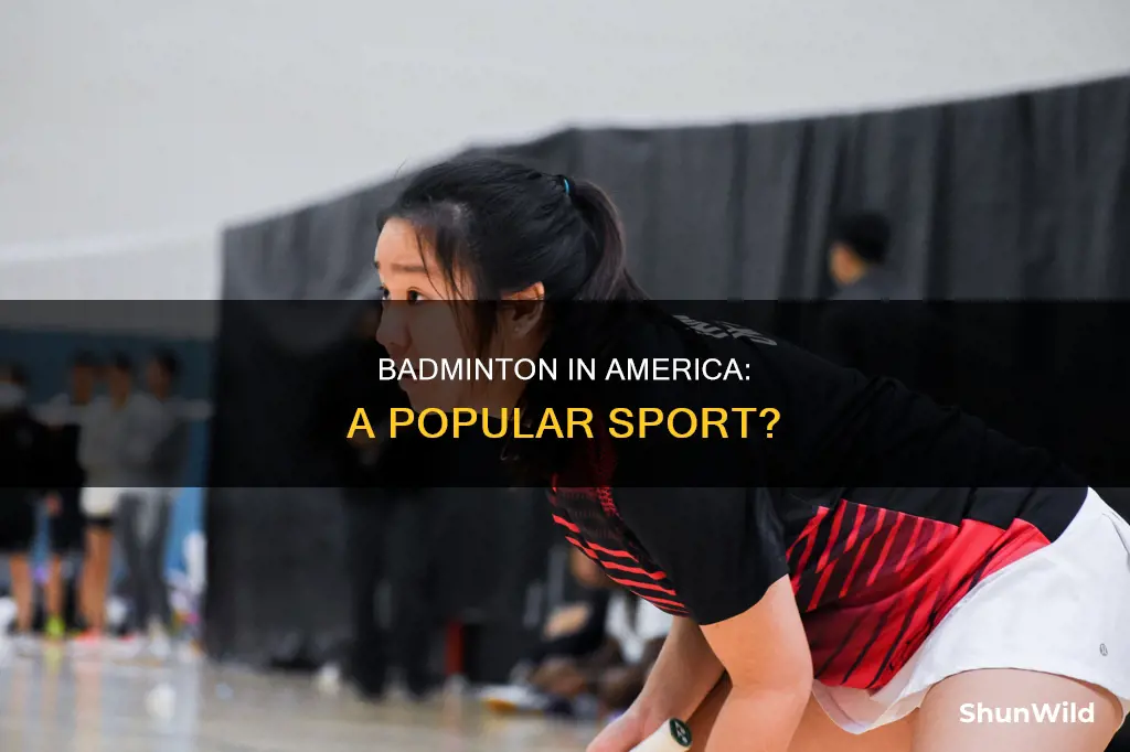 do americans play badminton