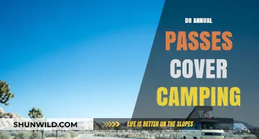 Do Annual Passes Cover Camping? Exploring Park Benefits and Limitations