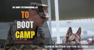Do Army Veterinarians Attend Boot Camp? Unveiling Military Vet Training