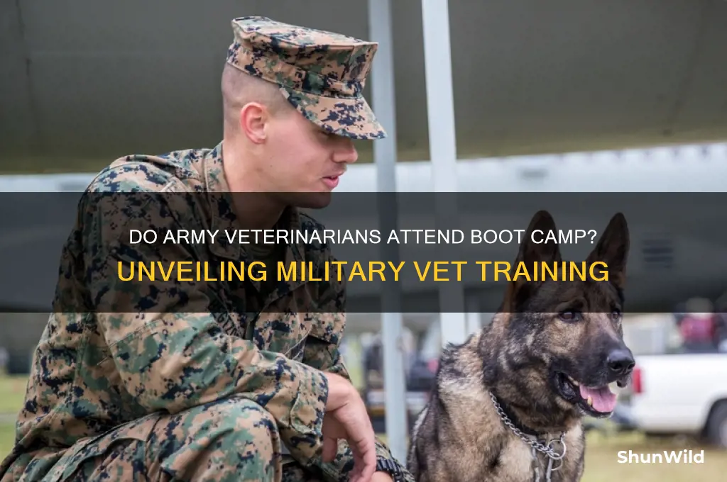do army veterinarians go to boot camp