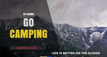 Exploring the Great Outdoors: Do Asians Embrace Camping Culture?