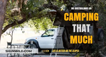 Exploring the Great Outdoors: How Often Do Australians Go Camping?