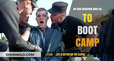 Do Troubled Kids Benefit from Boot Camp Discipline?