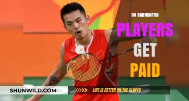 Lucrative Badminton: Player Earnings Explored