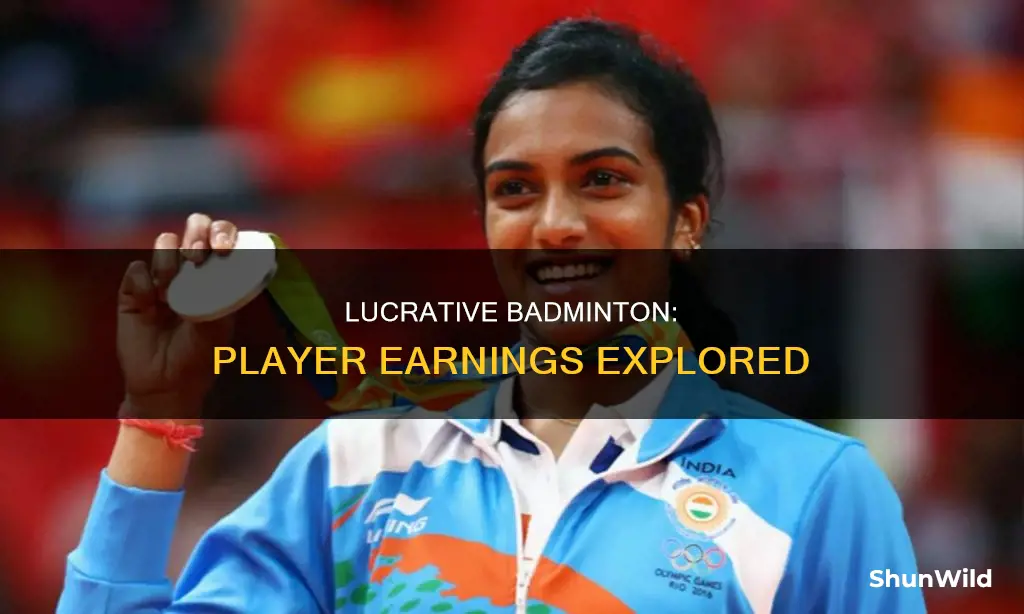 do badminton players get paid