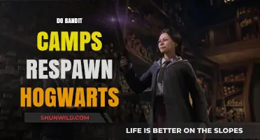 Do Bandit Camps Respawn in Hogwarts Legacy? Exploring Game Mechanics