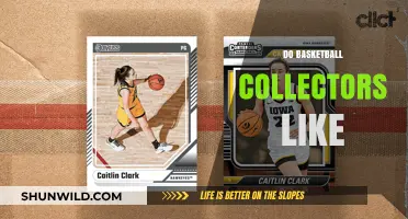 Basketball Collectors: What's Their Favorite Memorabilia?