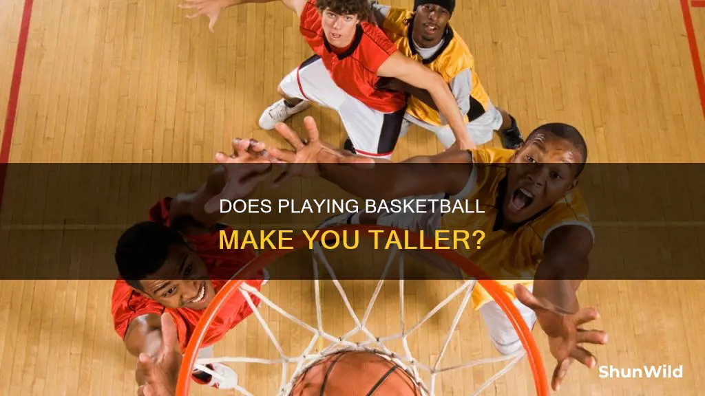 do basketball increase height