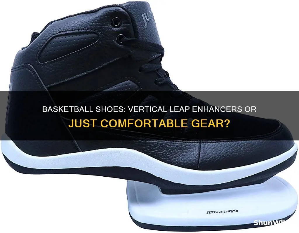 do basketball shoes increase vertical leap