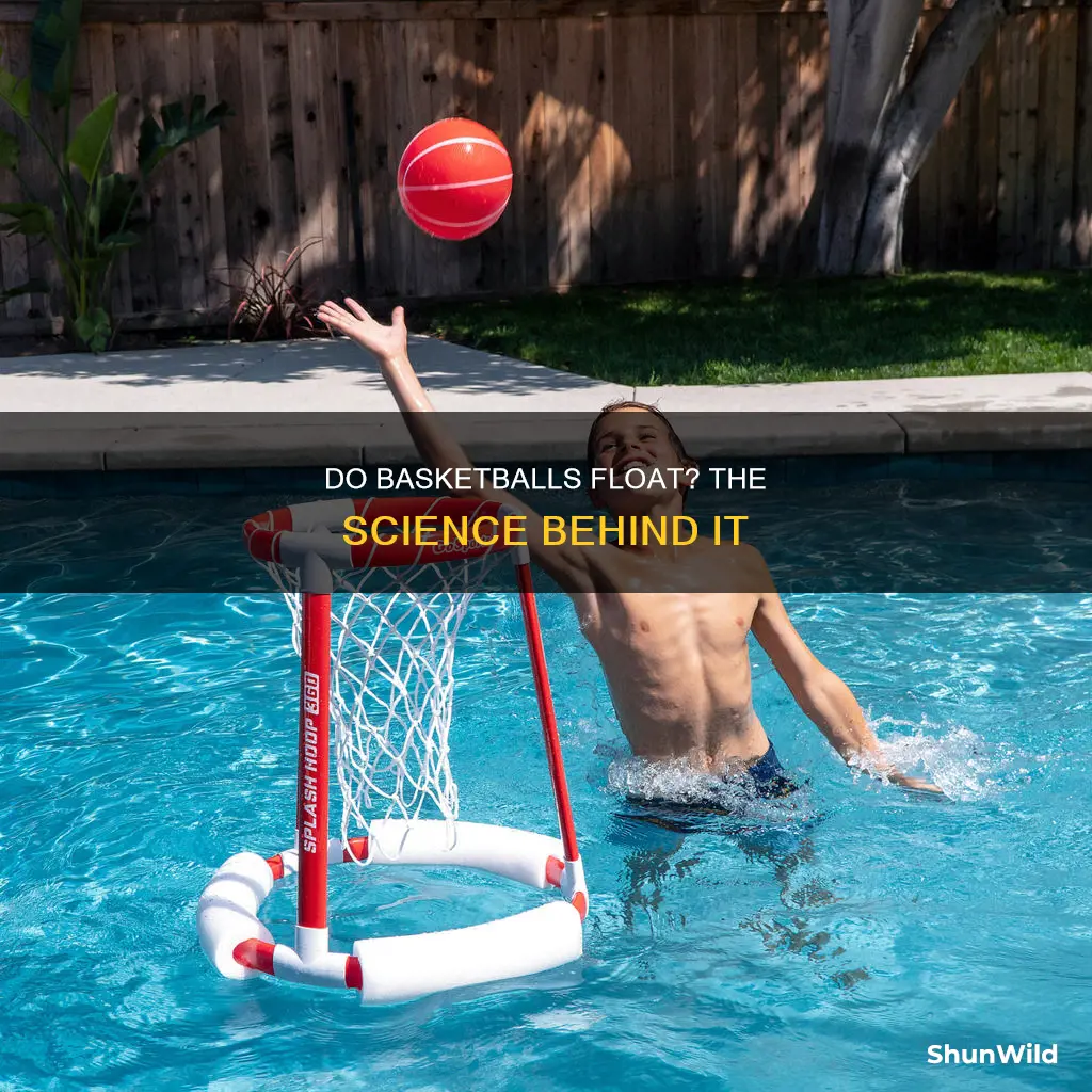 do basketballs float