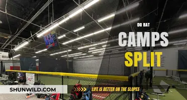 Do Bat Camps Split? Understanding Group Dynamics in Baseball Training