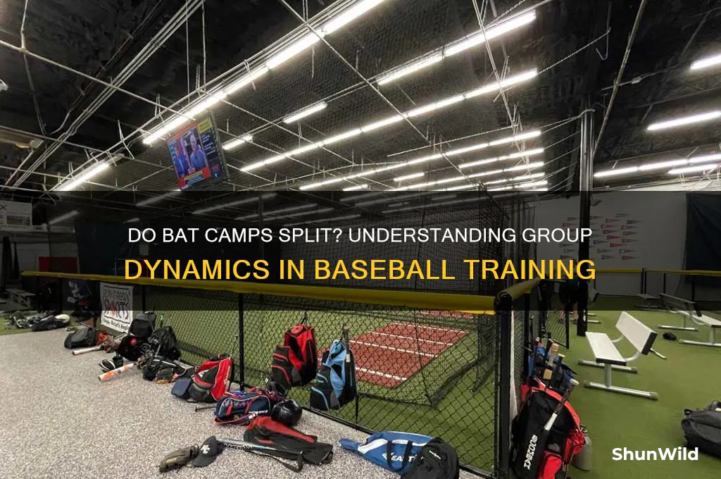 do bat camps split