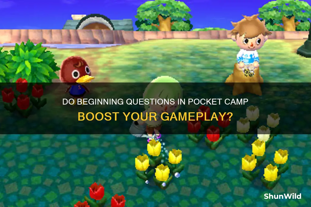do beginning questions pocket camp