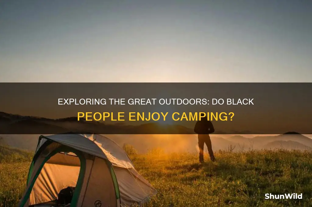 do black people like camping