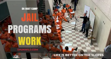 Do Boot Camp Jail Programs Work? Evaluating Effectiveness and Outcomes