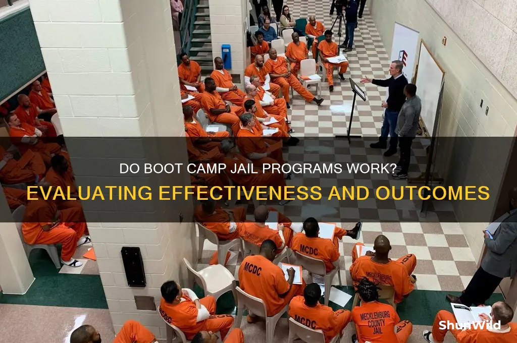 do boot camp jail programs work