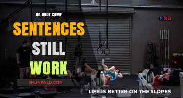 Do Boot Camp Sentences Still Work? Examining Effectiveness and Alternatives