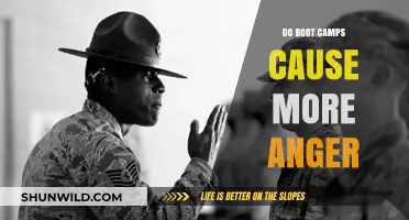 Do Boot Camps Fuel Anger or Foster Discipline? Exploring the Impact