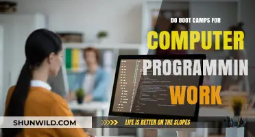 Do Coding Boot Camps Deliver Real Results? A Comprehensive Analysis