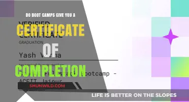 Do Boot Camps Offer Certificates Upon Completion? Find Out Here