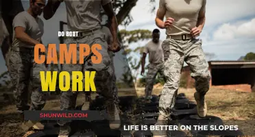 Do Boot Camps Deliver Results? Unpacking Effectiveness and Long-Term Impact