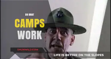 Do Brat Camps Work? Evaluating Effectiveness and Long-Term Impact