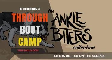 Do Butter Bars Go Through Boot Camp? Unveiling New Officers' Training