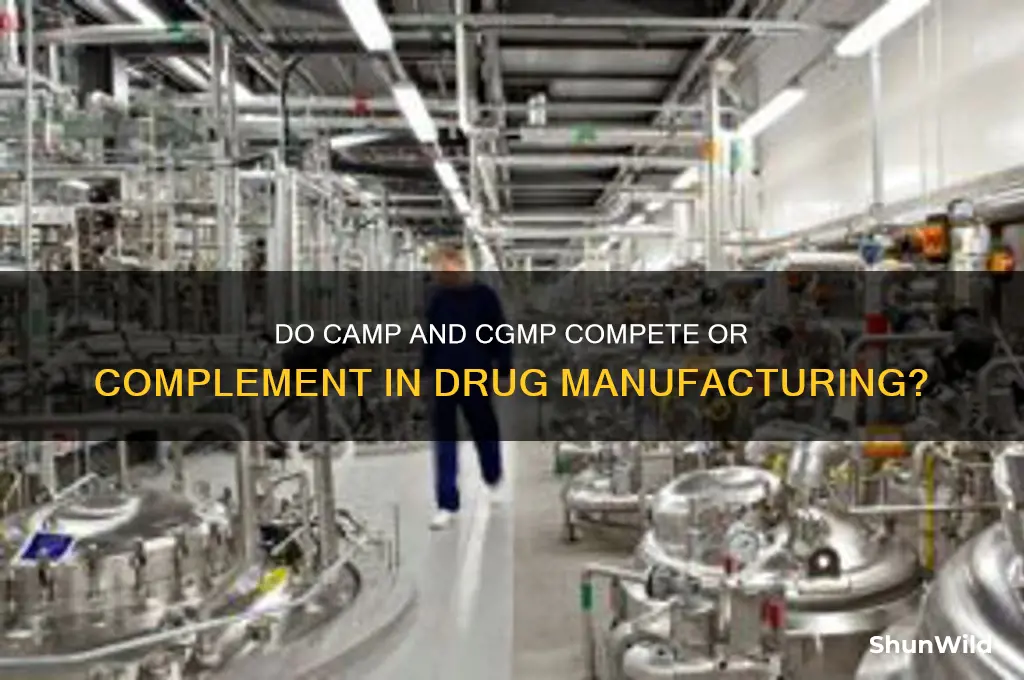 do camp and cgmp compete